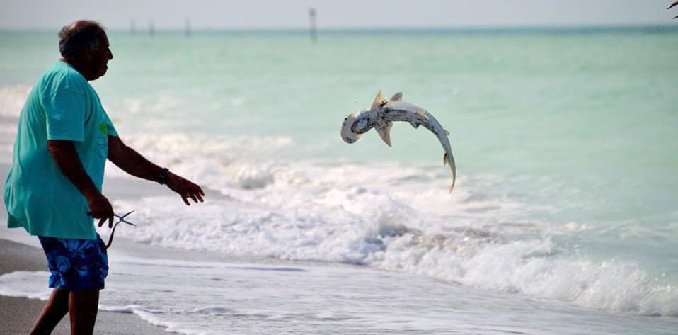 The Underhand Shark Throw